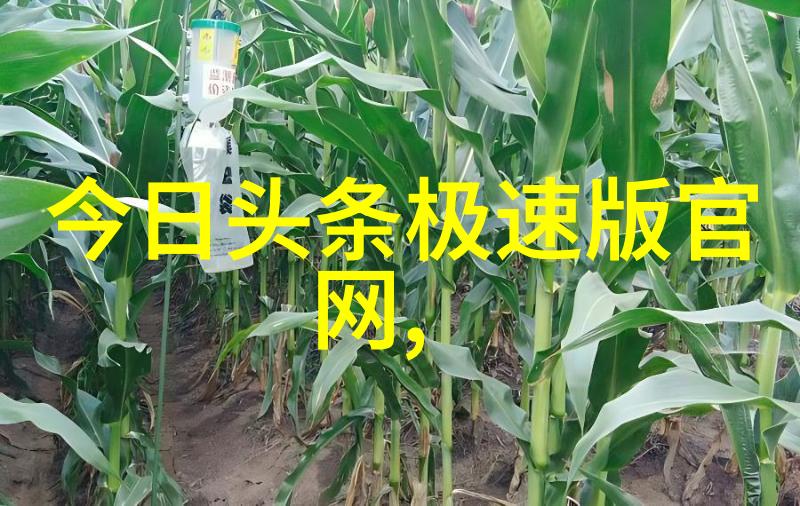 探索大自然的风景画卷一幅幅捕捉生命之美的图片大全