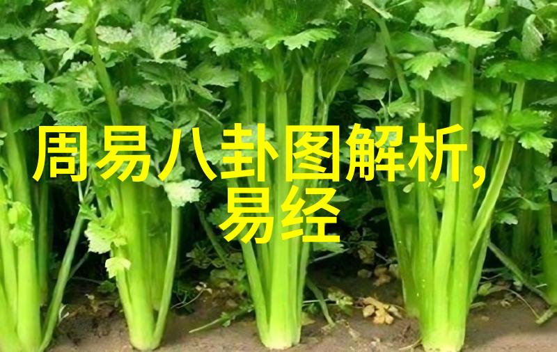 2021谁是抖音网红第一人 - 火花点亮网络揭秘2021年最闪耀的抖音网红