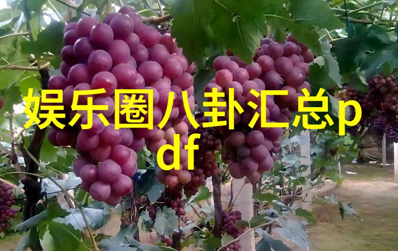 他真的爱过我吗从他的眼里到他破碎的世界所有的回忆都在这部电视剧中被扒开了