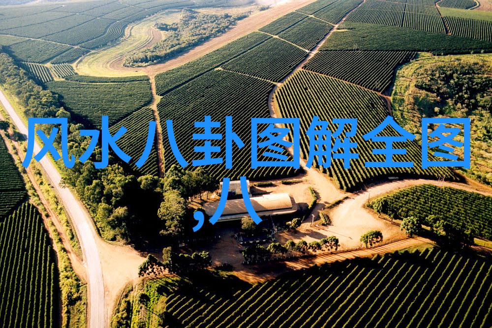 衡水中学校长关注网络红人对学校的影响衡水中学网红风波