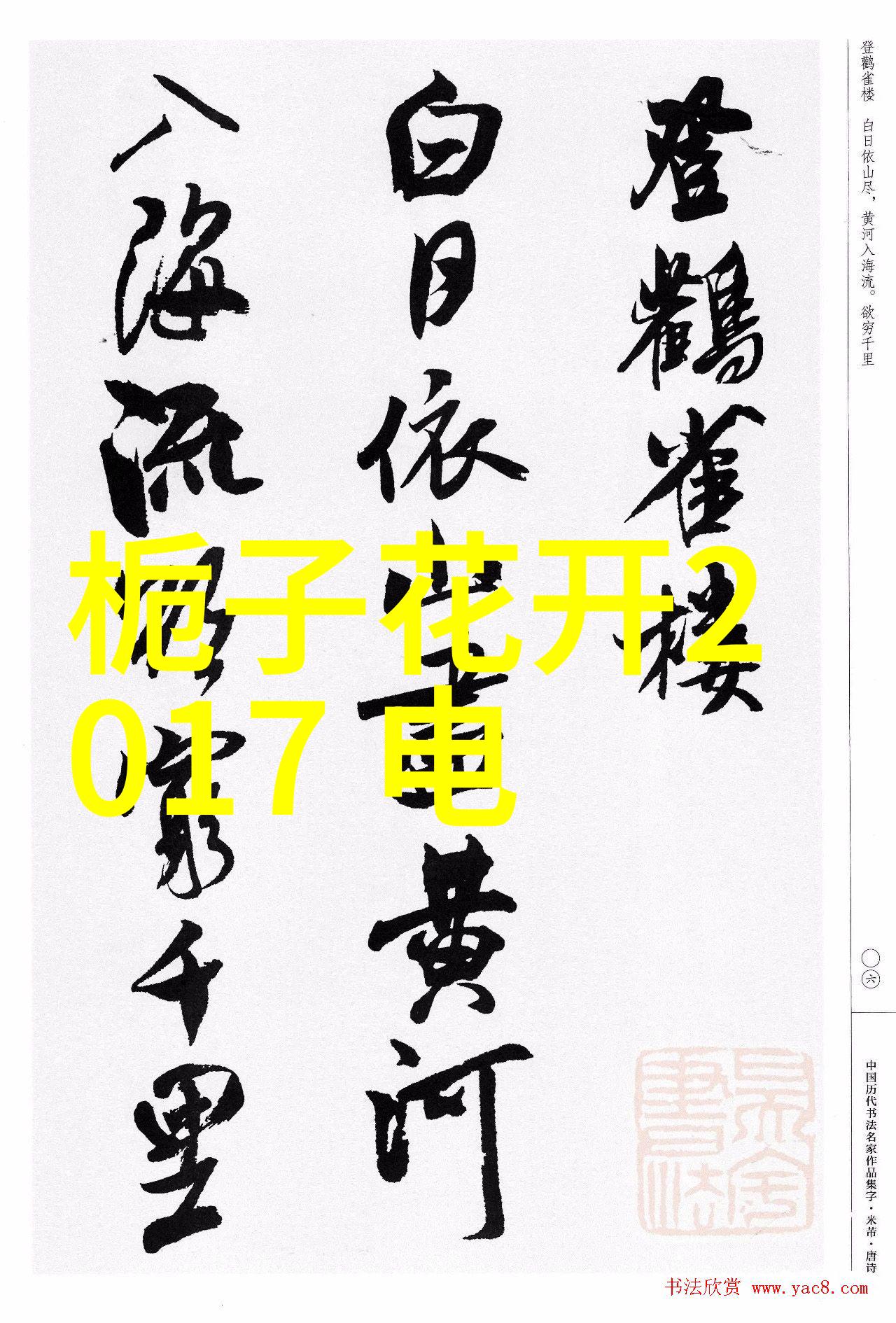 十九岁的梦想日本青春电影免费完整版之旅