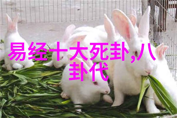 傅诗淇背后的故事成毅改名缘由揭秘吉凶八卦