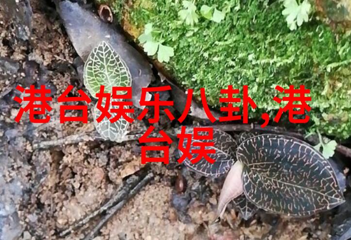 在家也能成为导演西瓜影視开启自制视频项目