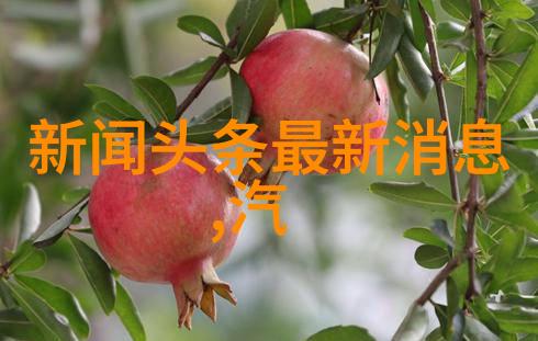 张萌姐的身材像李承铉图片一样精致似乎是用宝贵的物品换来的