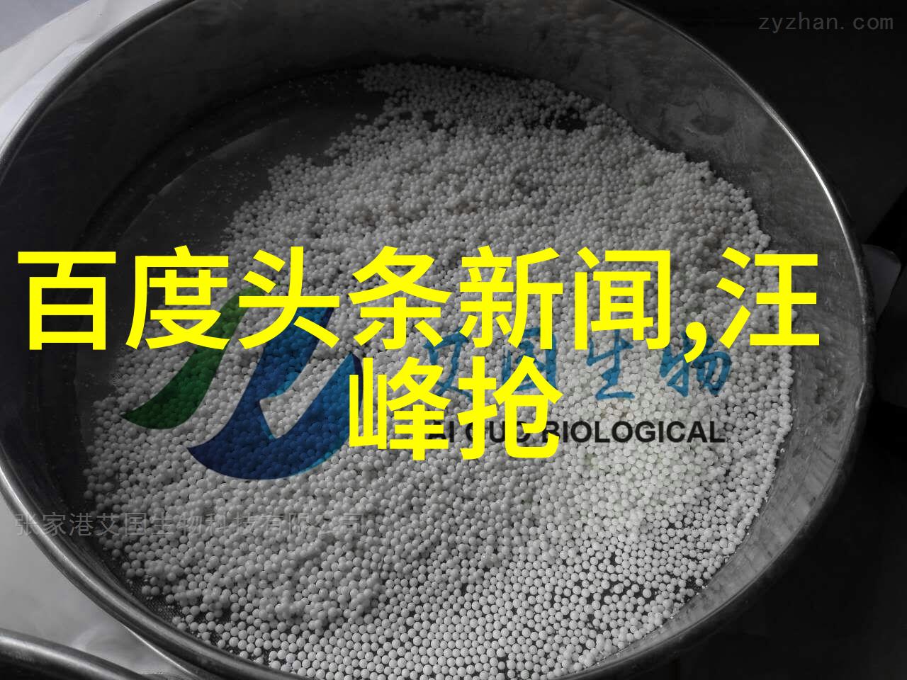 月亮影视作品全集月亮出品的精彩影视大全