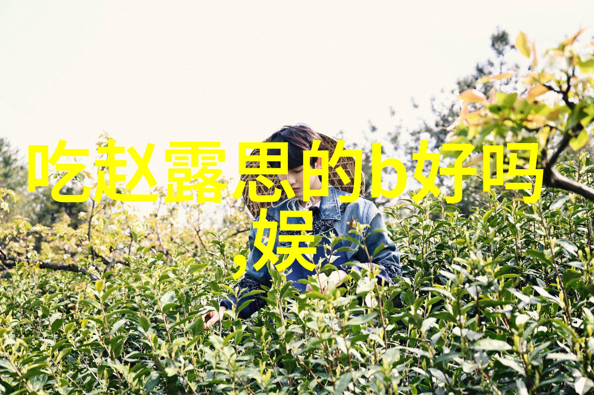 韩国综艺中的社交实验真实生活体验在虚构剧情中的融合