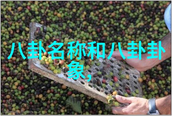 世界最大连岛国澳大利亚大陆的奇迹与魅力