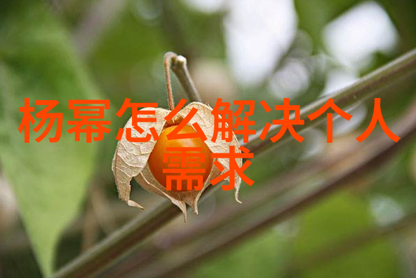 蜘蛛侠生日庆祝周活动结束月光影视大全高清版全网粉丝热盼2021新蜘蛛侠电影