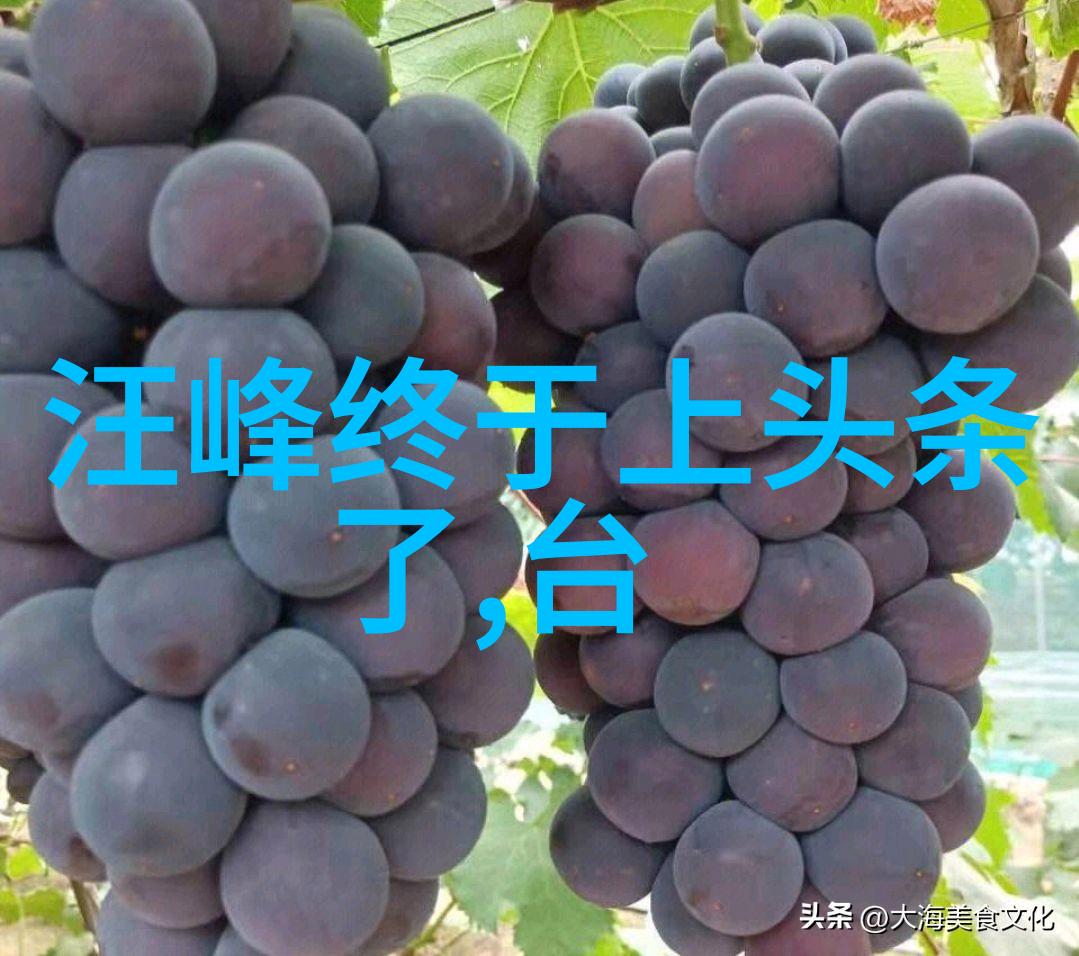 专业摄影技巧掌握高水平写真摄影技术