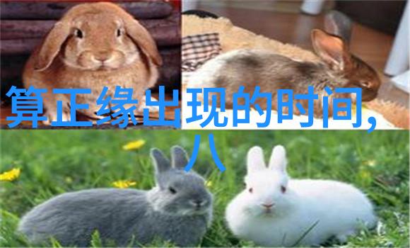 红毯新贵蔡琳高梓淇今日共赴婚礼风云韩中明星金婚记忆