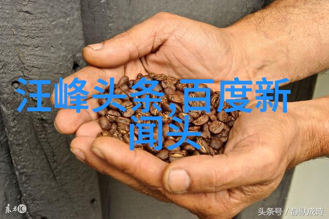 葫芦入口封锁令探索禁用18软件APP背后的数字管控之谜