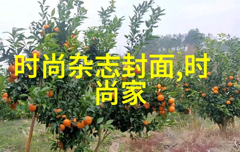 伪装者 电视剧 - 隐藏的真相揭开伪装者的面纱