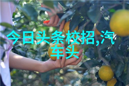 恋爱综艺中的互动游戏真实的情感碰撞