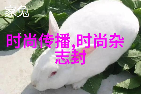 玩具与游戏中的历史隐喻从童年玩具到成年人的娱乐活动探寻它们背后的象征意义