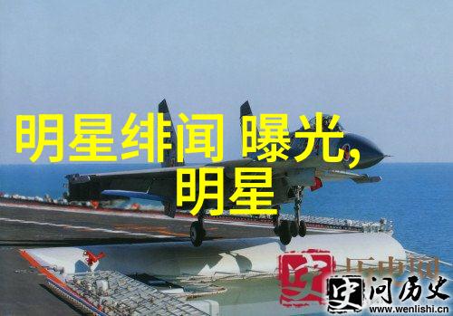 流萤星途过气女星的综艺归来