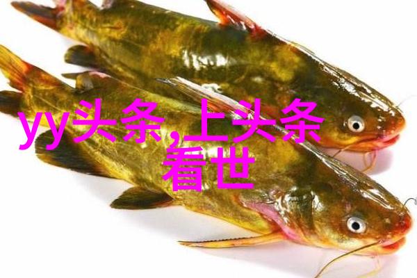 星辰大海下的盛宴银河娱乐集团的辉煌历程