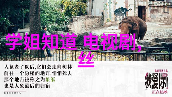 后天八卦五行图解析后天八卦如何帮助个体了解自己的性格和命运轨迹