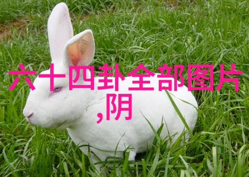 汤加丽的艺术写真背后隐藏着怎样的故事与意境