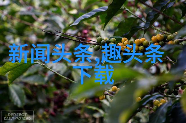 花姐影视我是如何在花姐影视的剧组里遇见明星的