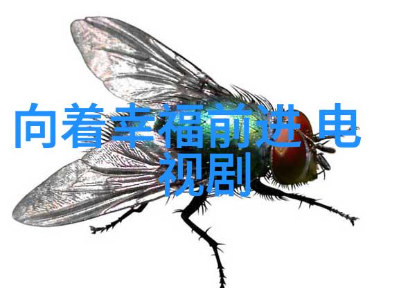 中俄友好再添新篇章中国对俄援助超逾4000亿美元