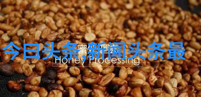 2023年自强不息的力量图谱