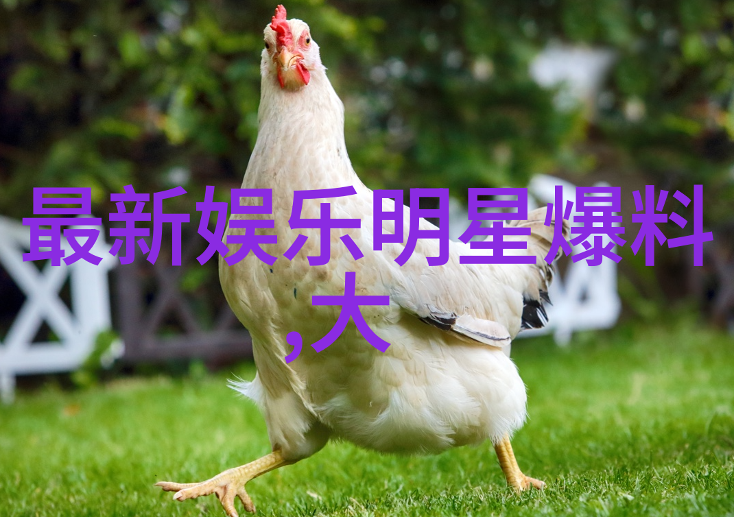 十大抖音背景音乐精选点亮你的创作之星