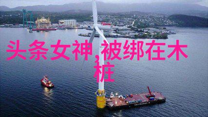 中天之象八卦图秘笈揭秘先天至后天的变化规律