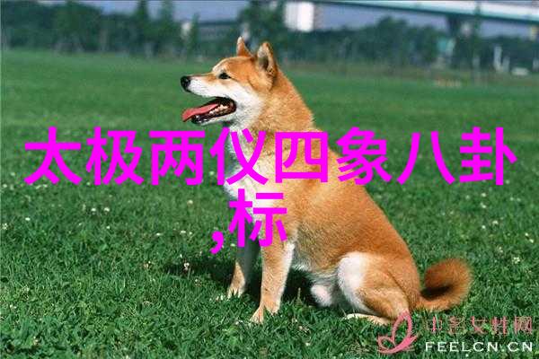 实用指南如何选择合适的装备进行写真摄影