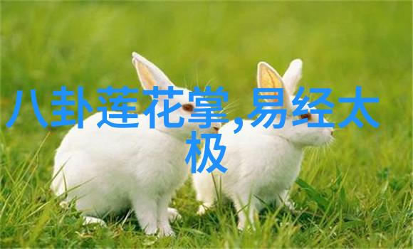 多多影视探秘我心中的电影世界