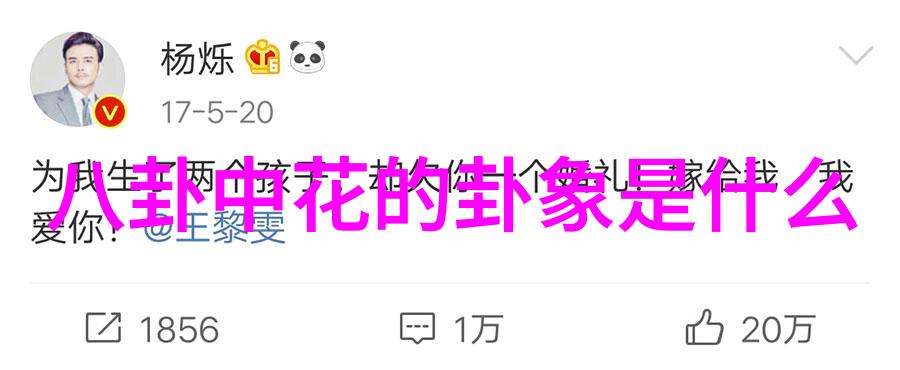 台湾新动态高雄轻轨计划获政府批准 迎来新时代交通革命