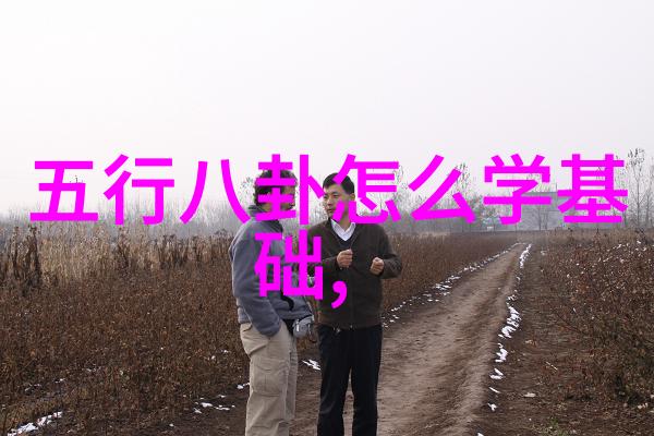 哪种八卦图才是正确的贺林依晨订婚与大仁哥拼到底直树红包加量