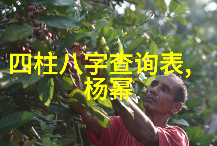 绽放的生活一场色彩斑斓的探索