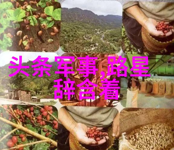 画卷天地分析大自然风景图片中的艺术价值
