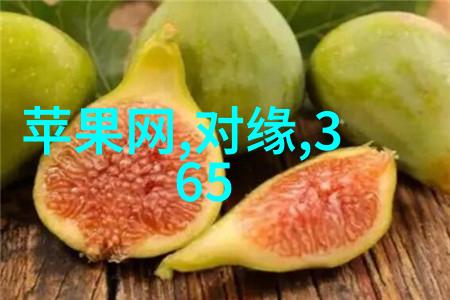 新时代合作旧账一笔勾销中俄领土协定发布