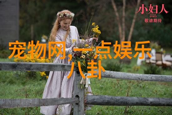 神秘之城谜题重重解析古典侦探片的情节构建