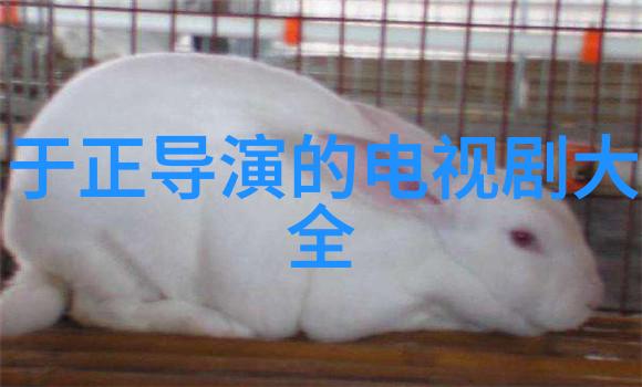 今日新闻最新头条10条朋友圈已被鹿晗攻占鹿式表白体被争相模仿