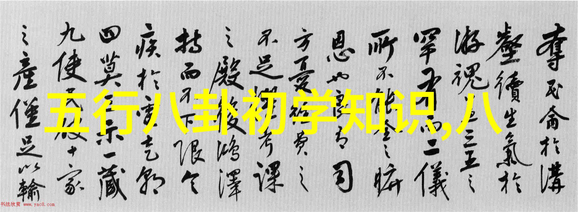 娱乐圈最新八卦明星新欢曝光网友热议