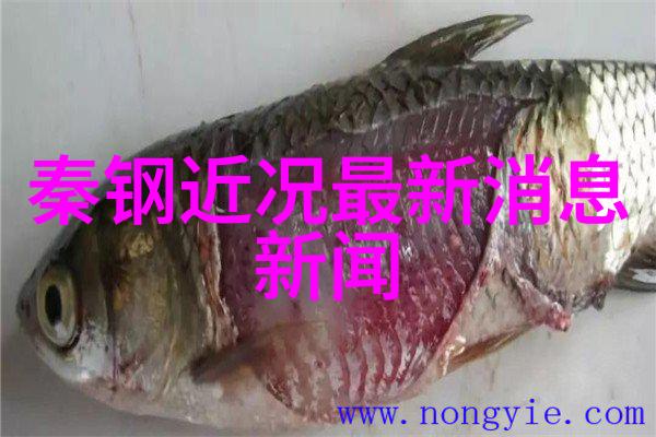 台湾为什么至今没有回到祖国我看台湾的回归难题
