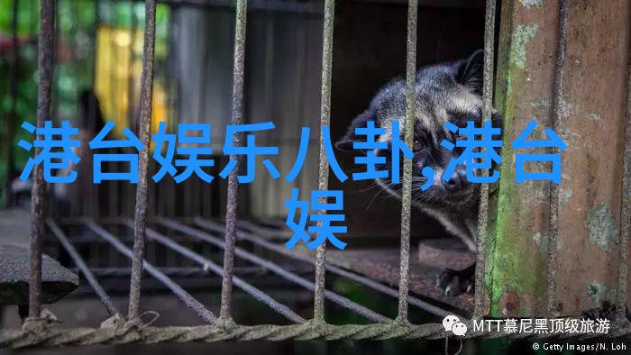 探索古代智慧六十四卦的奥秘与启示