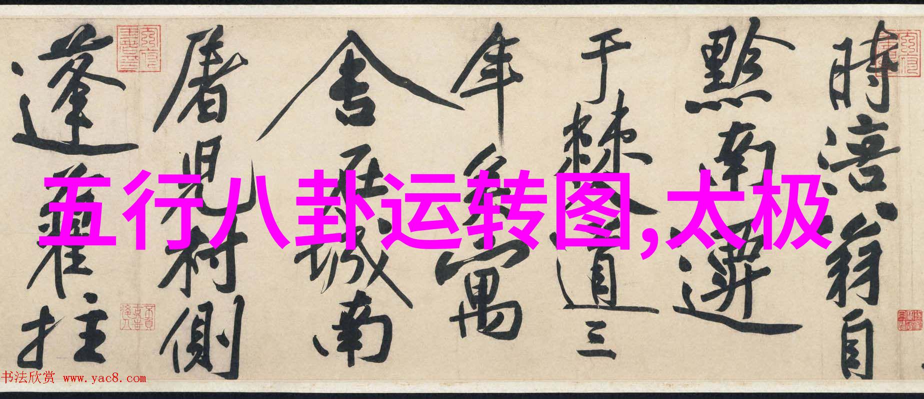美女写真网-色彩斑斓的女性魅力展示