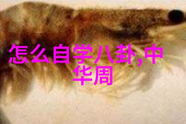 未来的超级大陆幻想之轮回