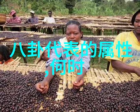 皇恩娱乐我在这家娱乐场所的奇妙夜晚