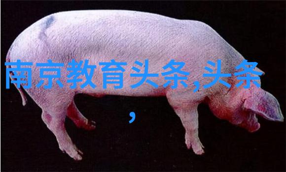 走进模特写真的艺术世界探索光影与造型的完美融合