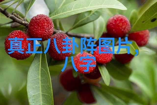 哪些流行歌曲是盗版