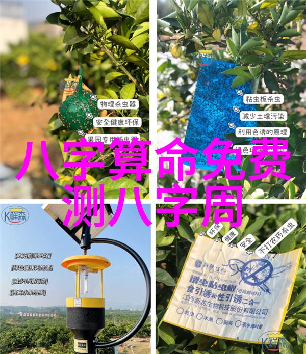 拍照背后的心路历程摄影师如何选择照片入选写真集