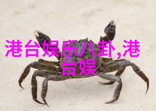 笑傲江湖综艺刀光剑影下的舞台风云
