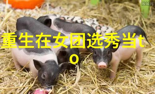 准备先对 开火我这就给你来个大放送