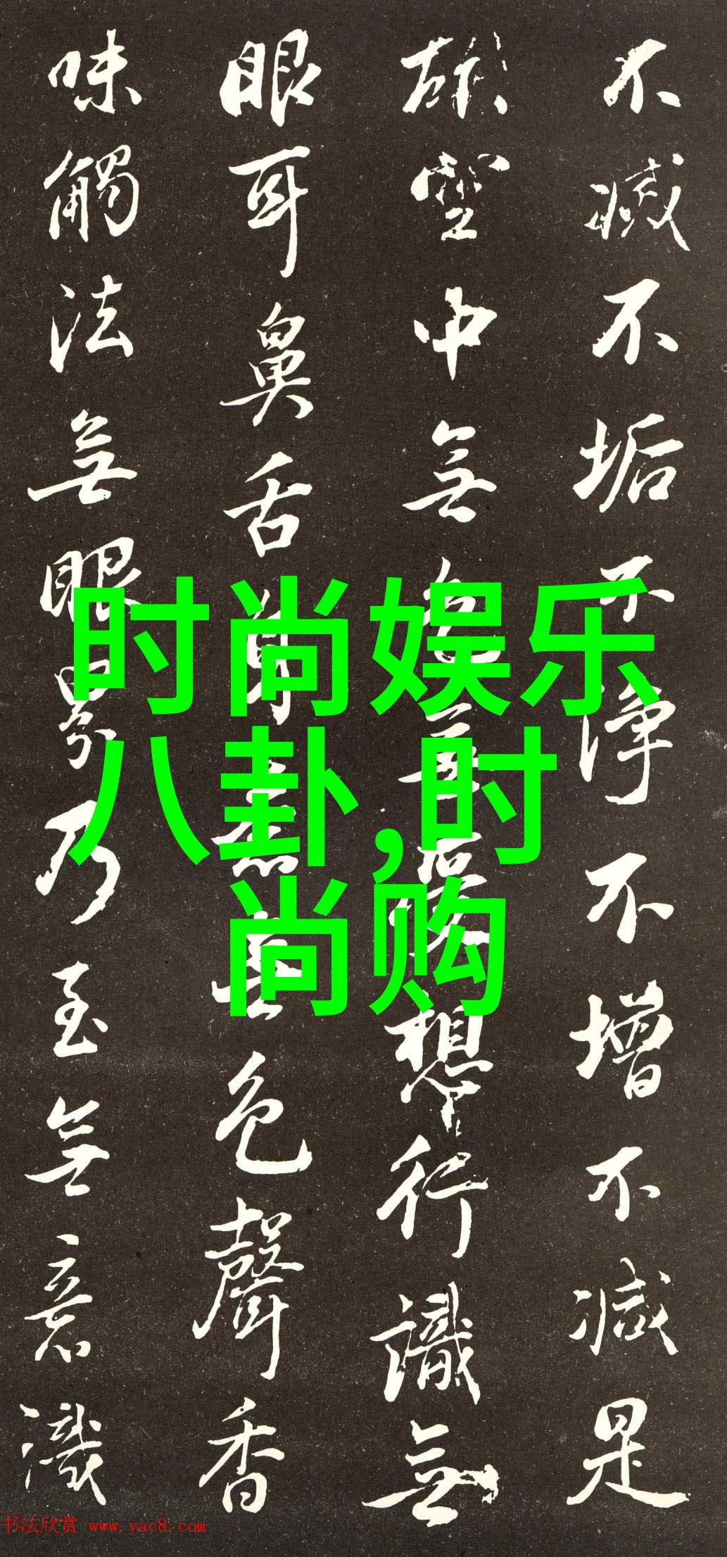 打造娱乐帝国赵涛女神在温影之光庆典上首度亮相赞颂学子专业实力