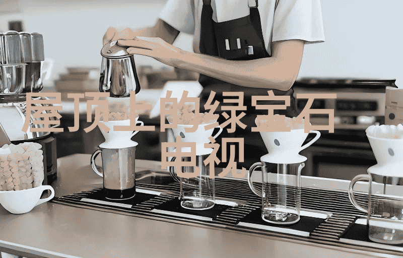 林嘉欣自曝出道时身材过肥 爱上制作陶瓷