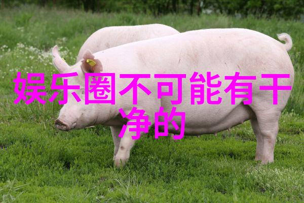 他们的幸福是如何被公众关注的